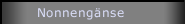 Nonneng&auml;nse