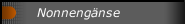 Nonneng&auml;nse